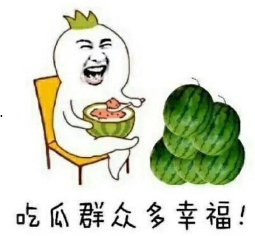 吃瓜娱乐最在行
