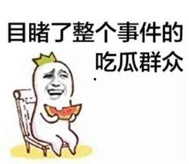 喵星娱乐吃瓜群众,吃瓜群众揭秘娱乐圈幕后真相