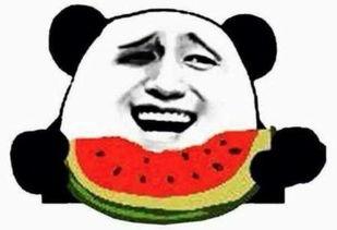 吃瓜群众放过娱乐圈