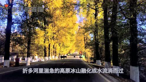 娱乐吃瓜君别墅