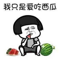 娱乐吃瓜文字,揭秘明星幕后故事